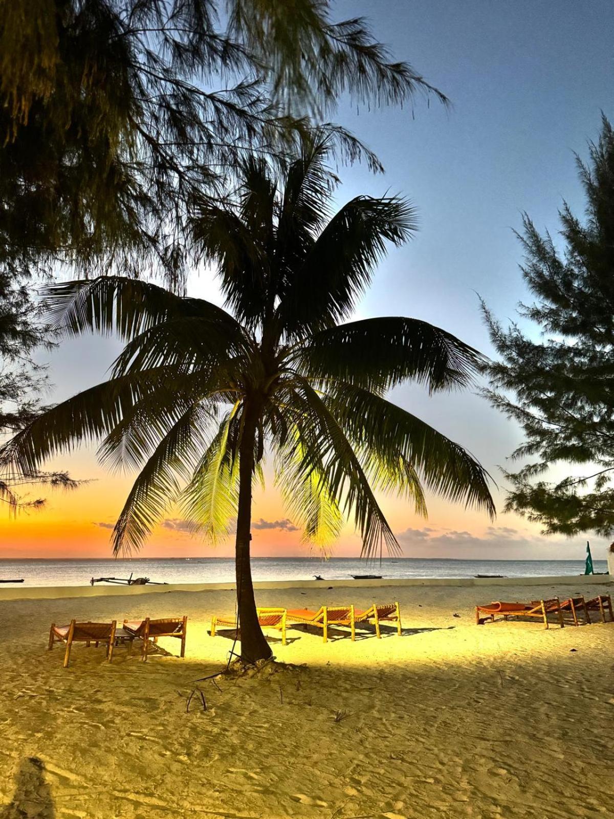 Bahati Sunset Bungalows Michamvi Esterno foto