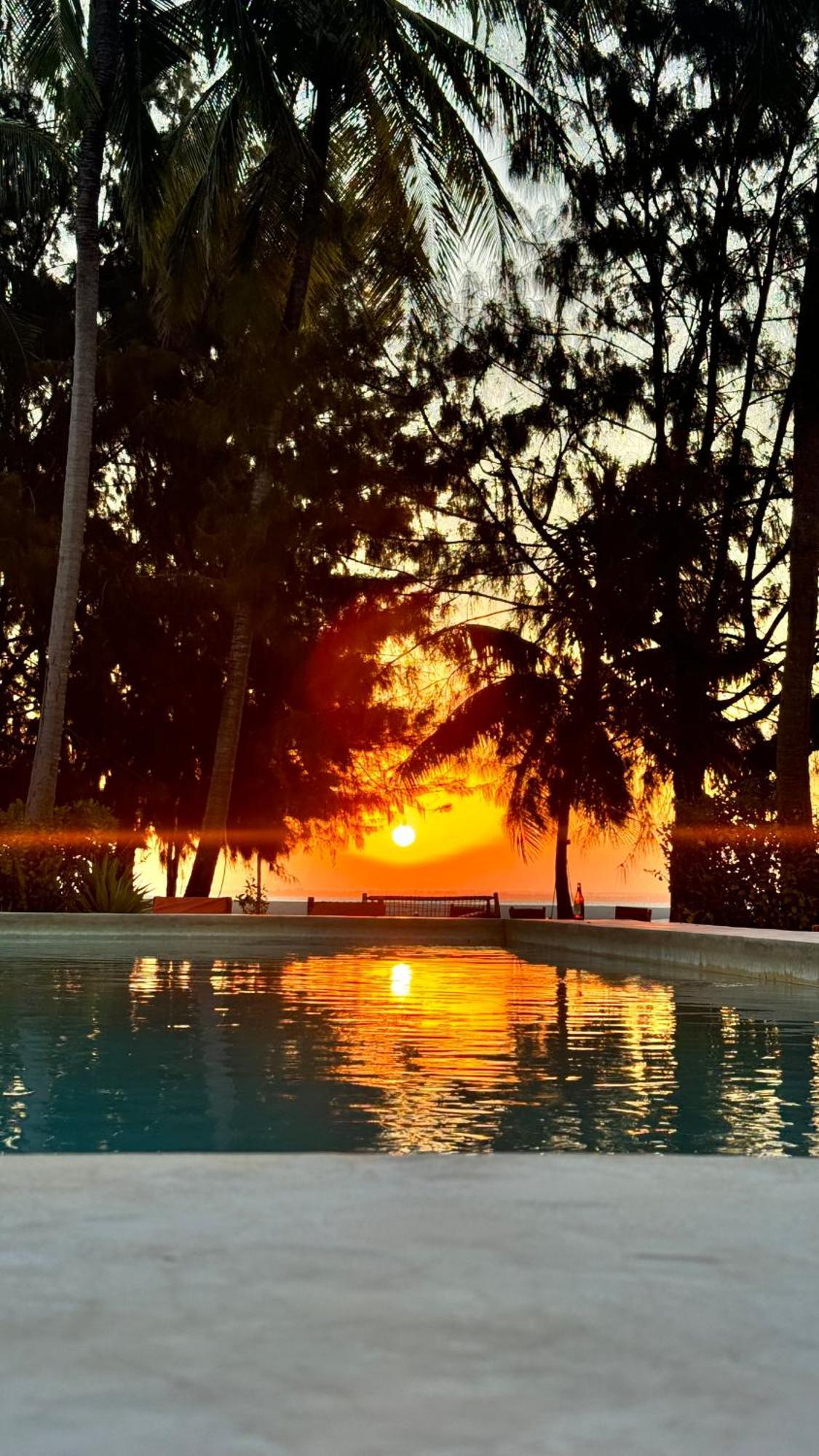 Bahati Sunset Bungalows Michamvi Esterno foto